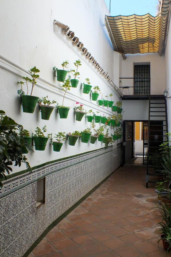 Hotel El Patio De Santiago Córdoba Exteriér fotografie